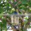 Acrylic Window Bird Feeder,plexiglass Bird Feeder,clear Bird Feeder