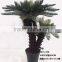 Indoor Artificial Sago Cycas Tree for Dinosaur World