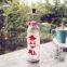 Happy Life Starlight Bottle Birthday LED Amber Love Gift Idea
