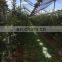 HDPE virgin material orchard anti hail net with uv for agriculture