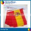 Hot Selling Polyester Triangle Flags