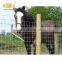Cheap 4 ft 5 ft goat fencing galvanized farm field wire mesh cattle fence price