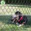 2 inch diamond hole vinyl coated animal fence wire mesh roll with low cost