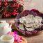 Best Seller - Good Quality With Cheap Price Dried Dragon Fruit Organic Made In Viet Nam