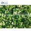 Sinocharm BRC A Approved 3-5cm IQF Fresh Florets Broccoli Frezedry Floret Frozen Broccoli