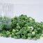 new crop hot selling freeze dried green onion