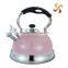 3.0L top level and high quality of tea kettle for boiling water with colorful coating on body