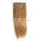  Clip In Hair Extension, Double Drawn Weft Full Ending Clip In Hair Extension