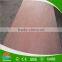 Hard Wood Plywood