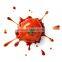 Pure 100% Natural 3kg canned Tomato Paste/ketchup