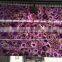 Semi preious purple raw brazil agate