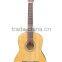 Acoustic Guitar