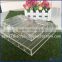 Acrylic tray with divider, acrylic restaurent serving tray