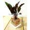 Custom acrylic plant stand, plant holder, indoor plant stands