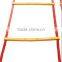 Customized Fitness Equipment Durable Training Agility Ladder
