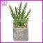 fake pot plant