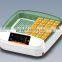 Hottest selling automatic chicken incubator price