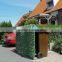 Buxus leaf shape leaf plastic hedge with UV resistance