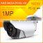 IR Cut Indoor Outdoor Waterproof IP66 Infrared Night Vision Analog CCTV Camera