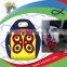 OEM & Custom kids picnic & lunch cooler bag