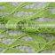 Chemical lace african green water soluble cord lace fabrics