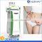 Lipo Cryo Fat Freezing beauty Machine / best prices cryo lipolysis cool body slimming device