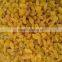 Dried golden raisin for the Middle East market