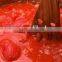 Hot sell caned Tomato sauce,Ketchup with high quality (Y27)