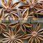 Big flower star aniseeds, competitive price from Vietnam