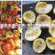 Lemon Half Cutting and Juice Extracting Machine