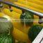Hp-360 Vegetable And Fruit Brush Washing Washer And Drying Dryer Machine