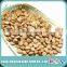 Organic Bitter Apricot Kernel Seeds