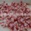 Automatic Frozen Meat Cutting Machine Meat Mincer Meat Dicing Machine