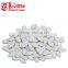 Chinese White Pumpkin Seeds Wholesale Price