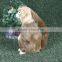 cute mini plastic plush toys monkey