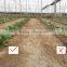 Agrolink Greenhouse Fertilisers Sodium Fulvate made for Australia