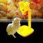 Poultry farming equipment water bowl for chickens, water bowl for chickens, drinking cups for chicken