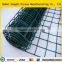 Green Color Plastic Garden Mesh