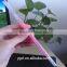 7.5x200mm Party Favor /Bar Glow Straw ( EN71, ASTM F963)