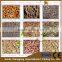 Small bagasse pellet making machine