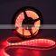 Wholesale 5M 5050 RGB Waterproof 300 LED Strip Light