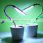 Creative eye touch Nightlight Charging type adjustable switch No radiation Doudou seedlings of LED lamp
