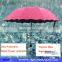 Flower Folding Umbrella Magic Rain Umbrella For Women