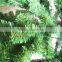 Home garden edging decorative 7.5ft Height 700 pcs of pine tips artificial green plastic LED lights christmas trees ESDS11 1701