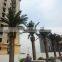 Hot sale artificial palm tree with new design and real touch,indoor or outdoor