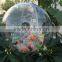 Clear Plastic Craft Gift Balls Transparent Acrylic ball