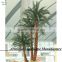 indoor palm tree hotsale size customized fiberglass date palm tree