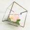 geometric glass terrarium for flower decor