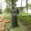 camo ghillie suit/desert hunting clothing/camouflage sniper ghillie suit