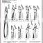 extracting forceps